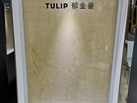 BEDEN MARBLE